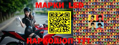 дмт Шебекино