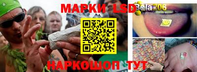 дмт Шебекино
