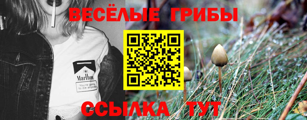 Псилоцибиновые грибы Cubensis  Галлюциногенные грибы ЛСД  Кстово  Вход с VPN 